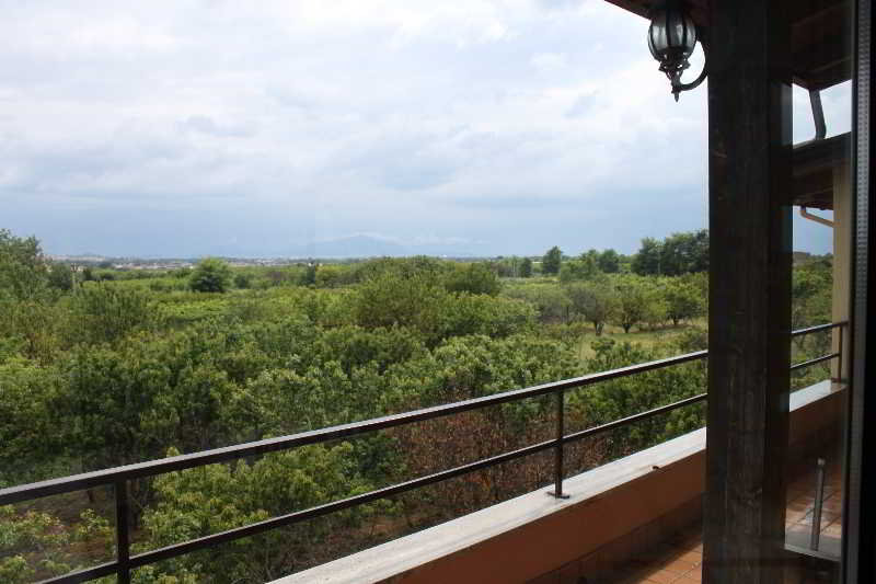 Terrace
Terrace
di Hotel Liternum