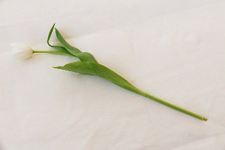 Room
Room
di Apartment Skadarlija