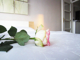 General view
General view
di Studio Skadarlija 2