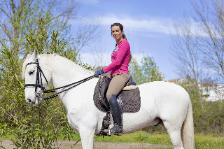 Sports and Entertainment
Sports and Entertainment
di Casa do Plátano