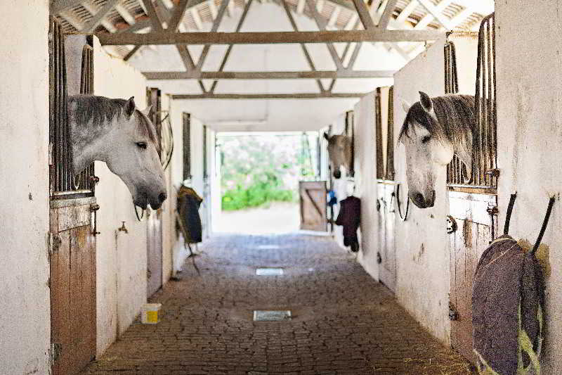 Sports and Entertainment
Sports and Entertainment
di Casa do Plátano