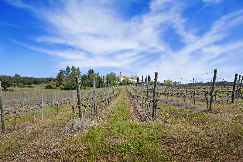 Sports and Entertainment
Sports and Entertainment
di Casa do Plátano