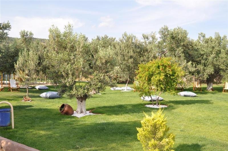 Terrace
Terrace
di Assos Park Hotel