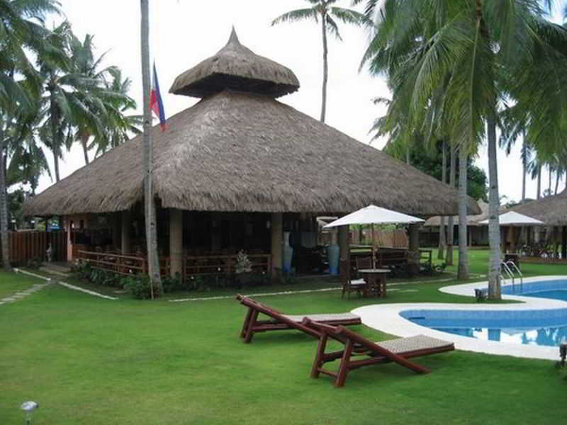 General view
General view
di Dream Native Resort