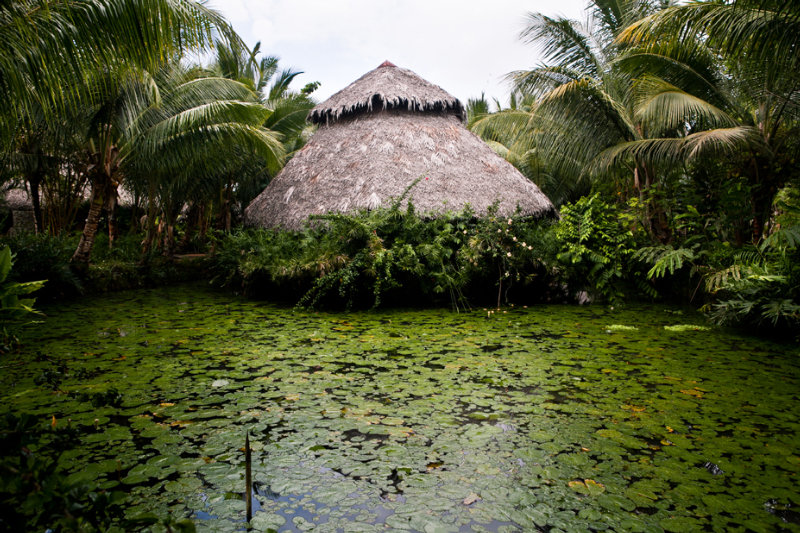 General view
General view
di Ravintsara Wellness