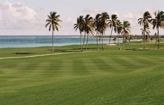 General view
General view
di St. Kitts Marriott Resort & The Royal Beach Casino