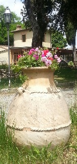 Pool
Pool
di Villa Mucellana