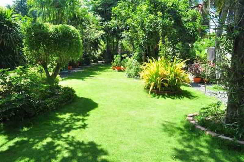 General view
General view
di White Mansion