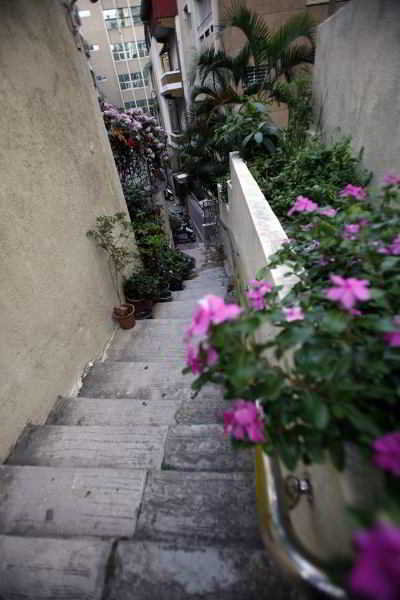 General view
General view
di 1967 City Central Hotel