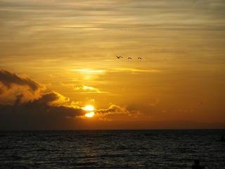 General view
General view
di Wellbeach Dive Resort
