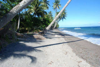 General view
General view
di Wellbeach Dive Resort