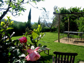 Terrace
Terrace
di Podere la Casetta