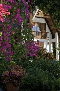 General view
General view
di Buri Resort and Spa