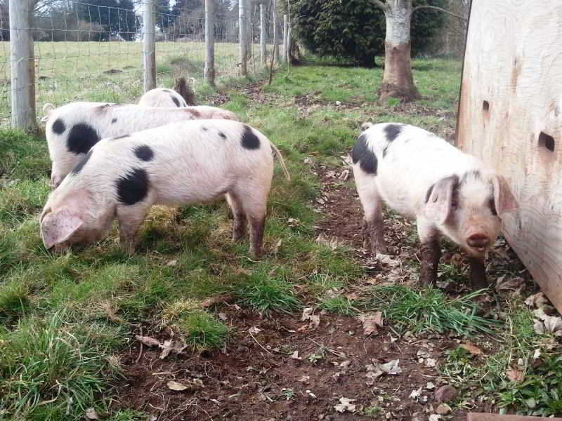 General view
General view
di Wyndham Arms Hotel