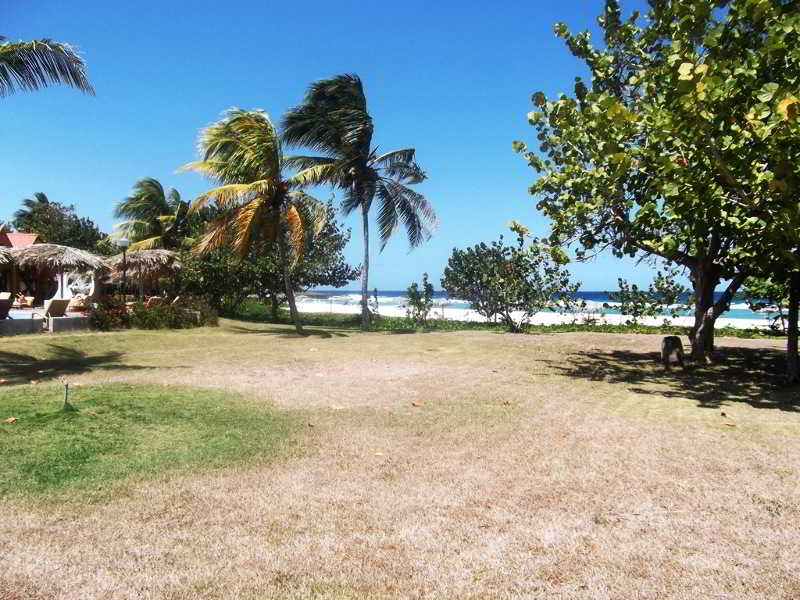 General view
General view
di Villa Don Lino