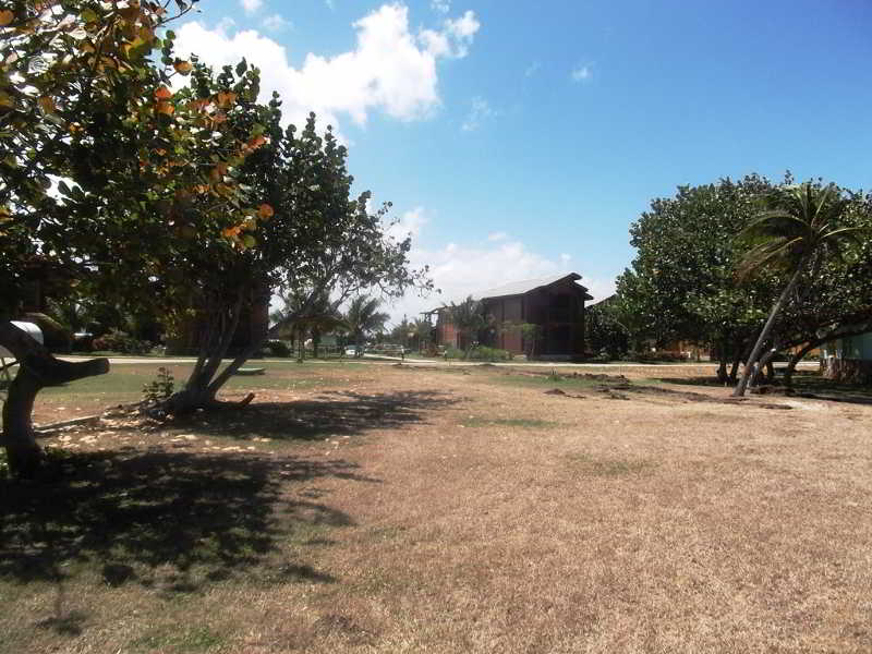 General view
General view
di Villa Don Lino