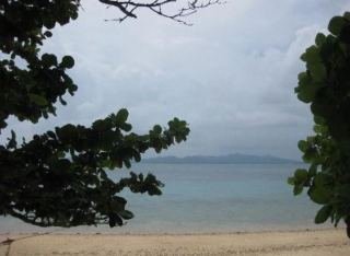 General view
General view
di Flower Island Resort