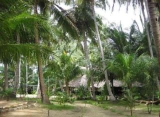 General view
General view
di Flower Island Resort