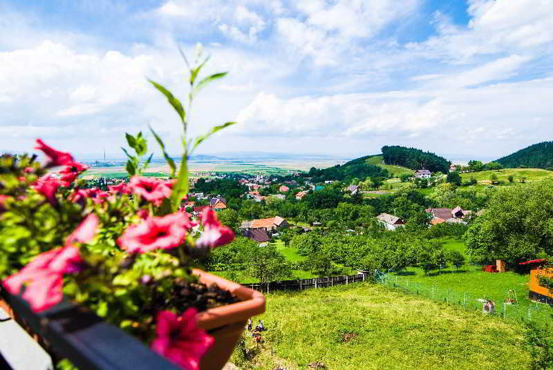 General view
General view
di Bella Vista Hotel
