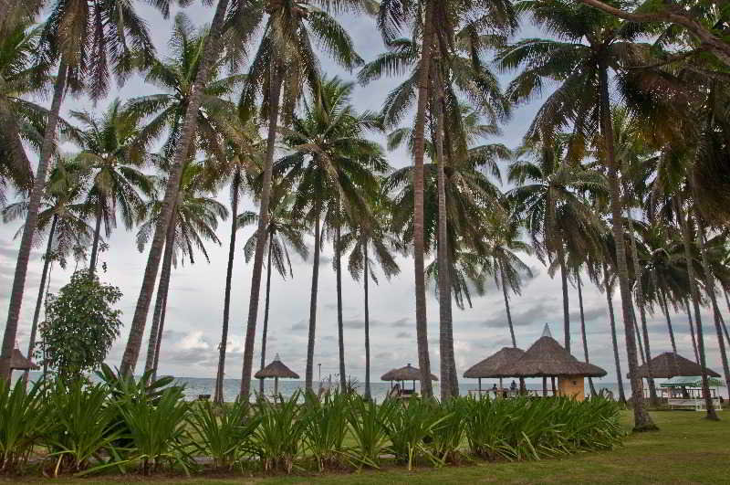 General view
General view
di Crystal Paradise Resort, Spa & Winery