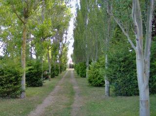 General view
General view
di Camino De Santiago Alojamientos