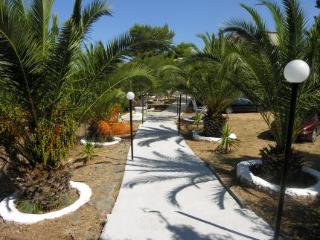 General view
General view
di Fiore Di Mare Studios