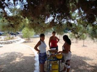 General view
General view
di Fiore Di Mare Studios