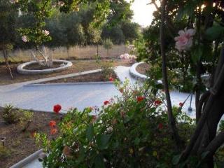 General view
General view
di Fiore Di Mare Studios