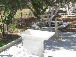 General view
General view
di Fiore Di Mare Studios