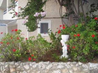 General view
General view
di Fiore Di Mare Studios