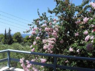 General view
General view
di Fiore Di Mare Studios