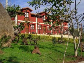 General view
General view
di El Molin de Petra