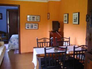 General view
General view
di El Molin de Petra