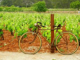 General view
General view
di Agroturismo Sa Vinya Den Palerm