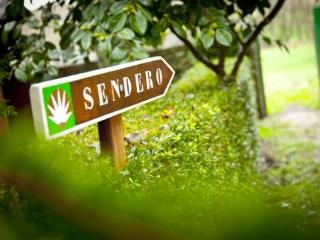 General view
General view
di Pazo Xan Xordo