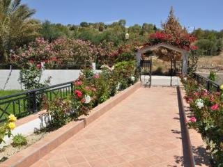 General view
General view
di Vlycha Beach Apartments & Studios