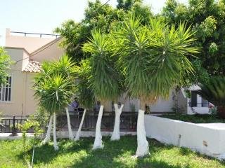 General view
General view
di Vlycha Beach Apartments & Studios