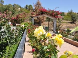 General view
General view
di Vlycha Beach Apartments & Studios