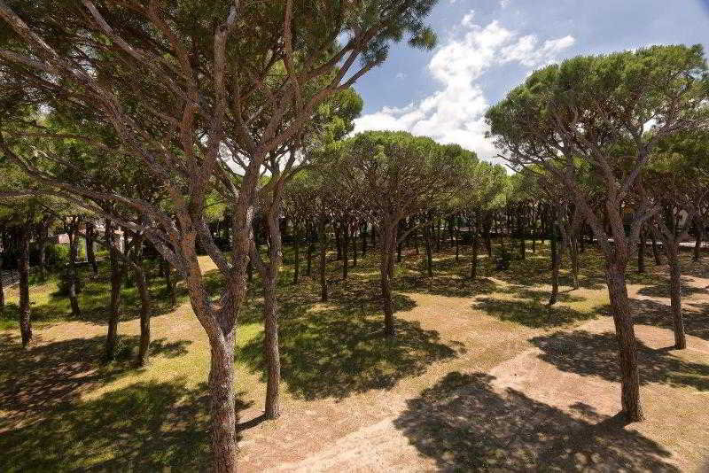 Terrace
Terrace
di Terme Marine Leopoldo II