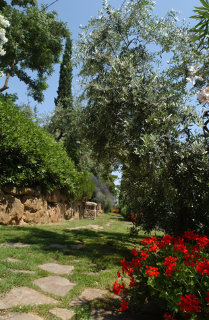 General view
General view
di Residence Il Sapito