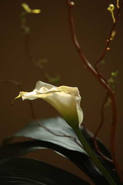 Lobby
Lobby
di Ca Mura Hotel