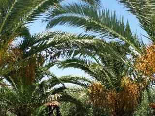 General view
General view
di Martha's Haus Hotel