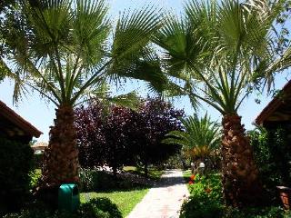 General view
General view
di Martha's Haus Hotel