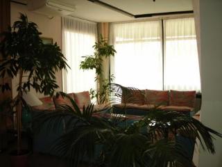 General view
General view
di Hotel e Residence Holiday