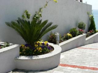 General view
General view
di Apartments Johnny