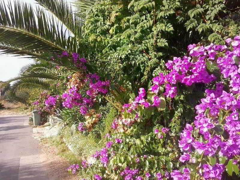 General view
General view
di Apartments Moreta