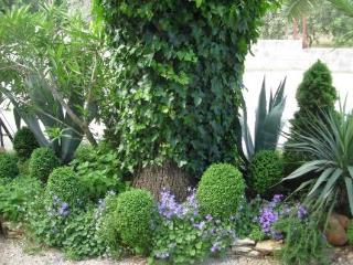 Terrace
Terrace
di Apartments Moreta