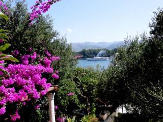 General view
General view
di Apartments Tereza