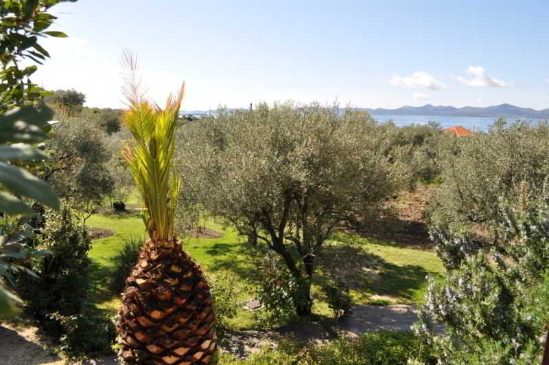 Terrace
Terrace
di Dolac Guesthouse