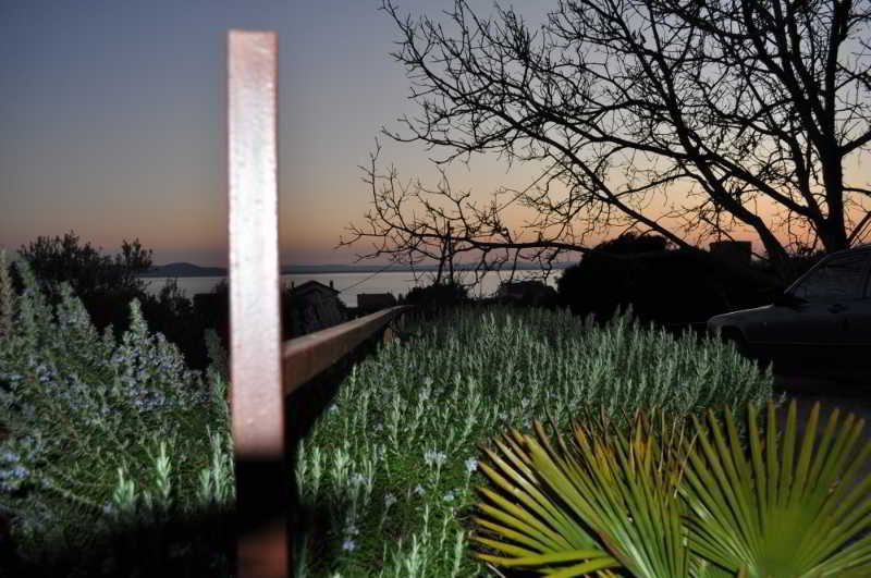 Terrace
Terrace
di Dolac Guesthouse